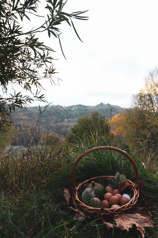 La Tenuta - Resort Agricolo Casaprota Buitenkant foto
